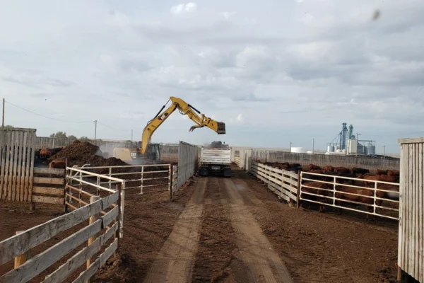 DB-Transport-drivers_1000013438_1440